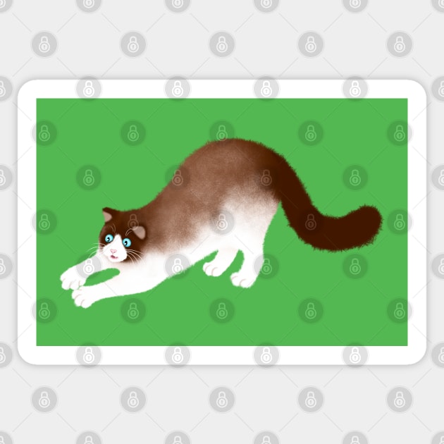 Playful Ragdoll Cat Sticker by illucalliart